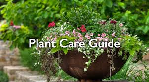 Help guides for growing better plants